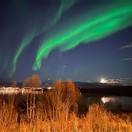 Aurora North Villa Tromso Bagian luar foto