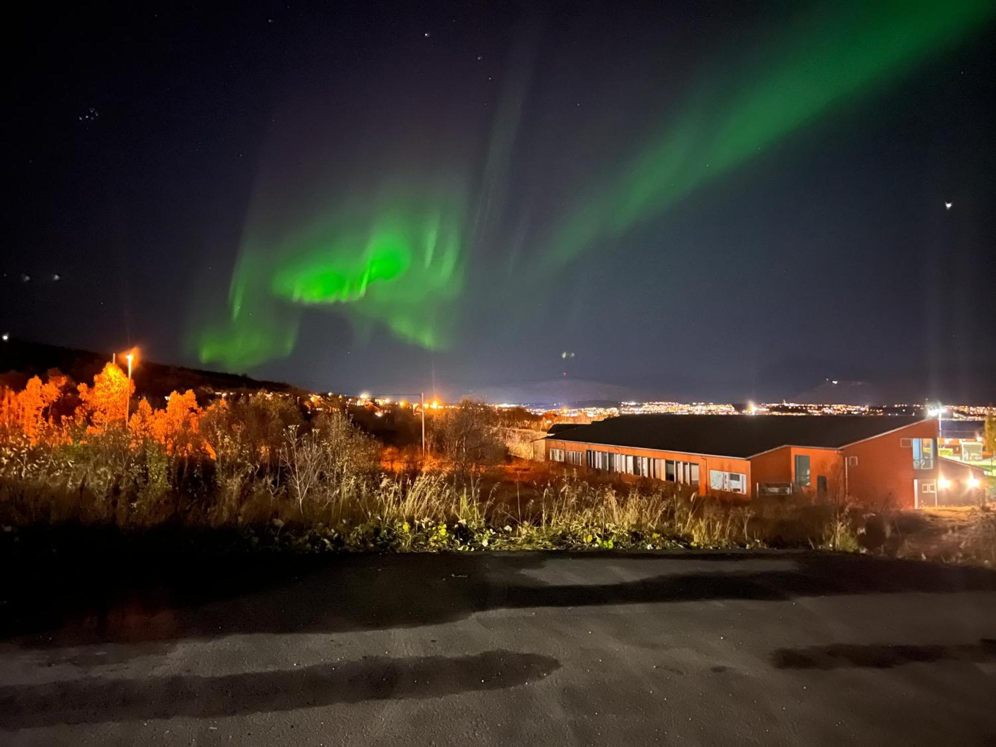 Aurora North Villa Tromso Bagian luar foto
