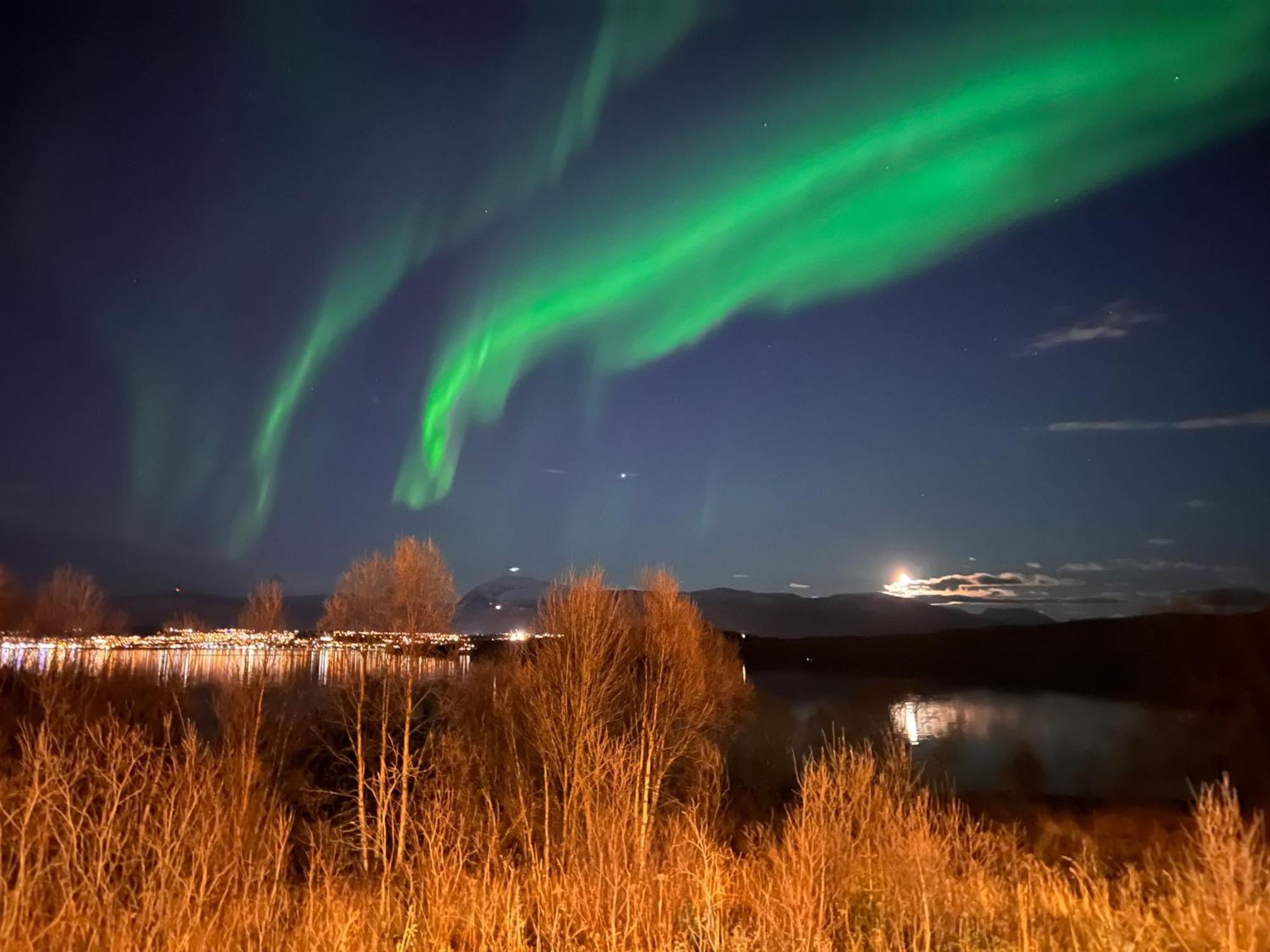 Aurora North Villa Tromso Bagian luar foto